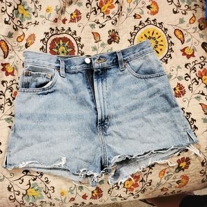Urban Outfitters BDC Shorts (M)